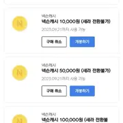 넥슨캐쉬 | 브랜드 중고거래 플랫폼, 번개장터