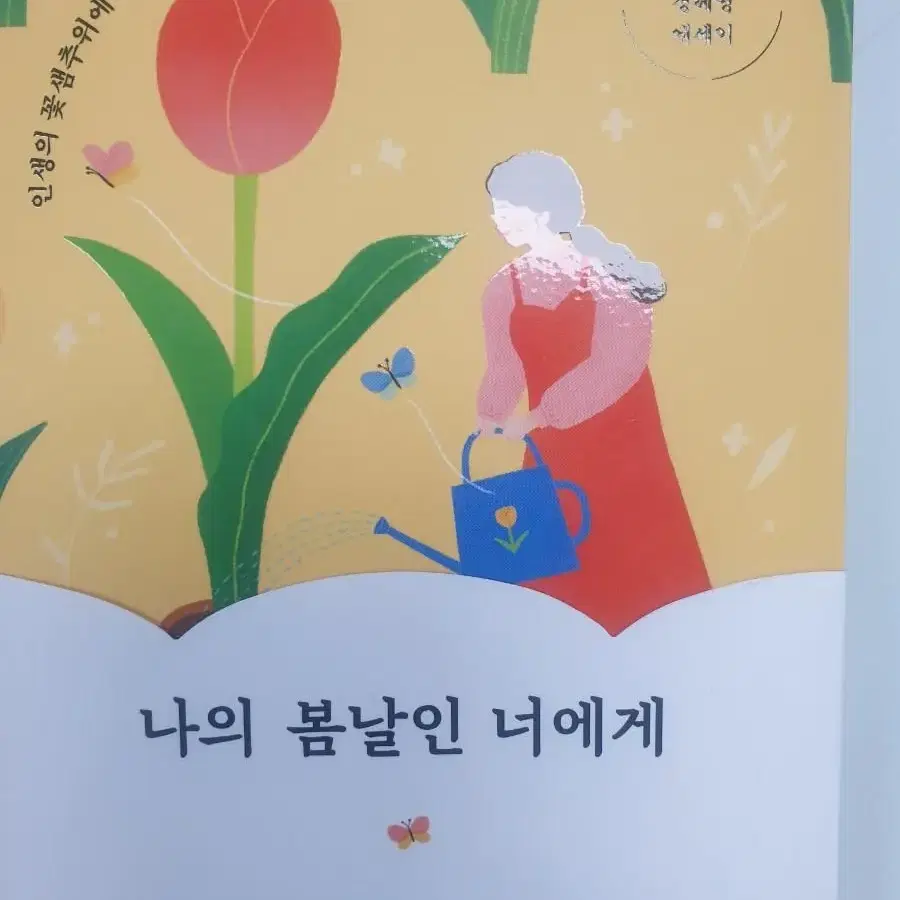 나의 봄날인 너에게