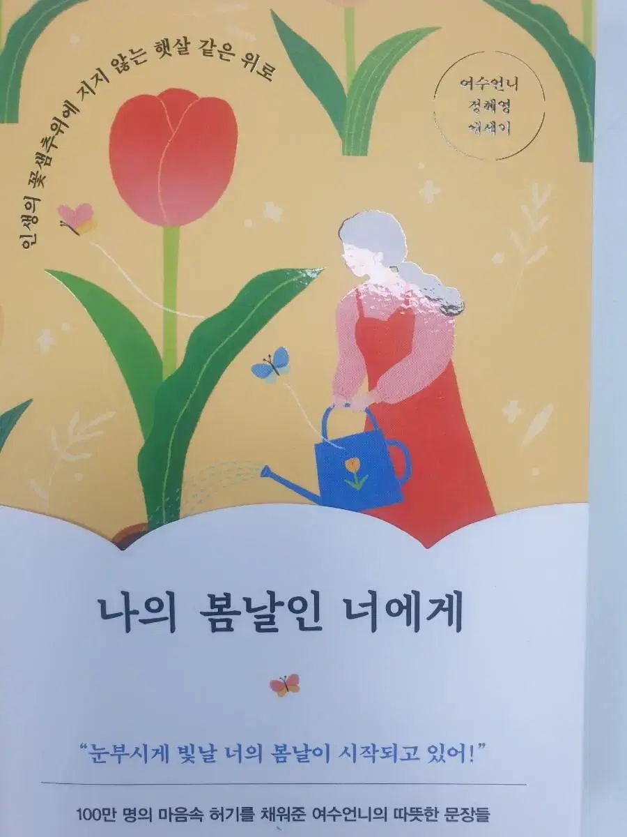 나의 봄날인 너에게