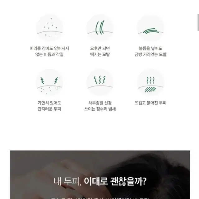 두피 스케일러