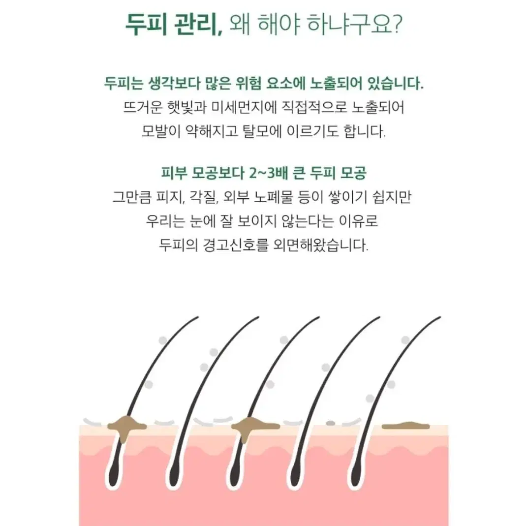 두피 스케일러