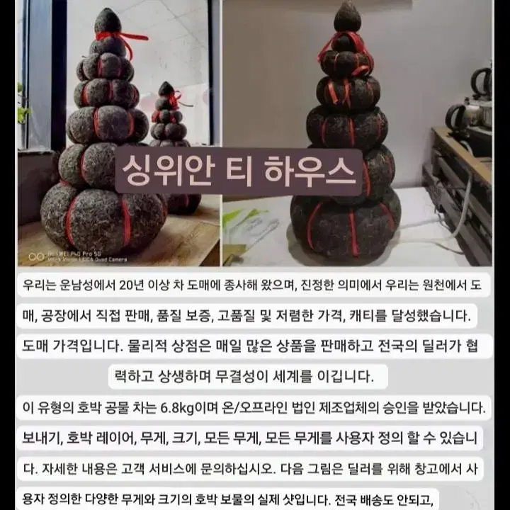 금과공차 보이차