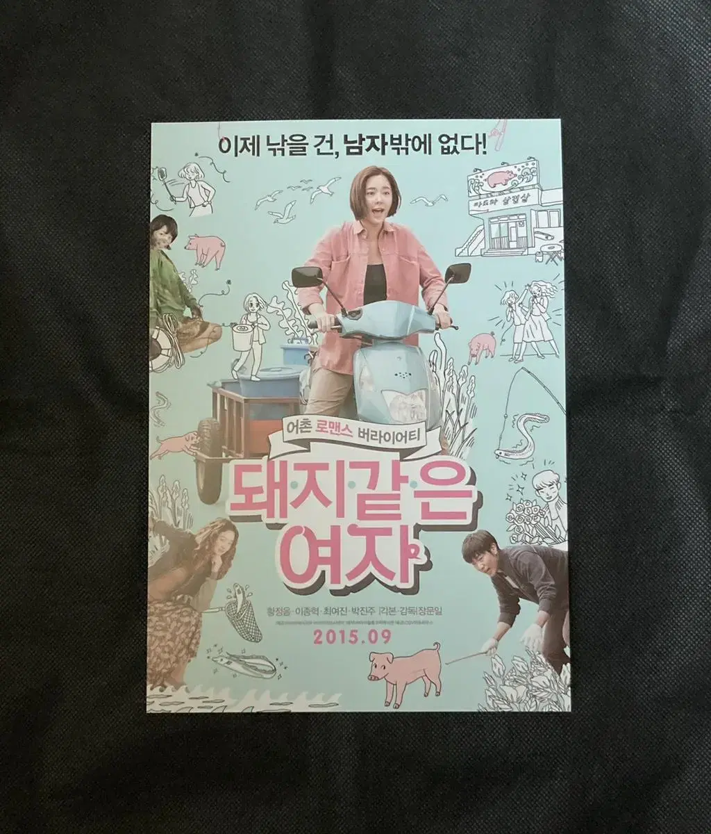 영화 돼지같은 여자-전단지 팜플렛 포스터 (황정음 이종혁 최여진 박진주)