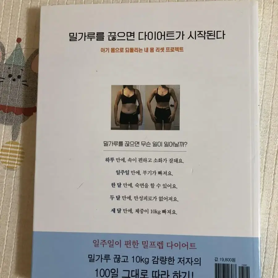 다이어트 요리책 두권에 만원