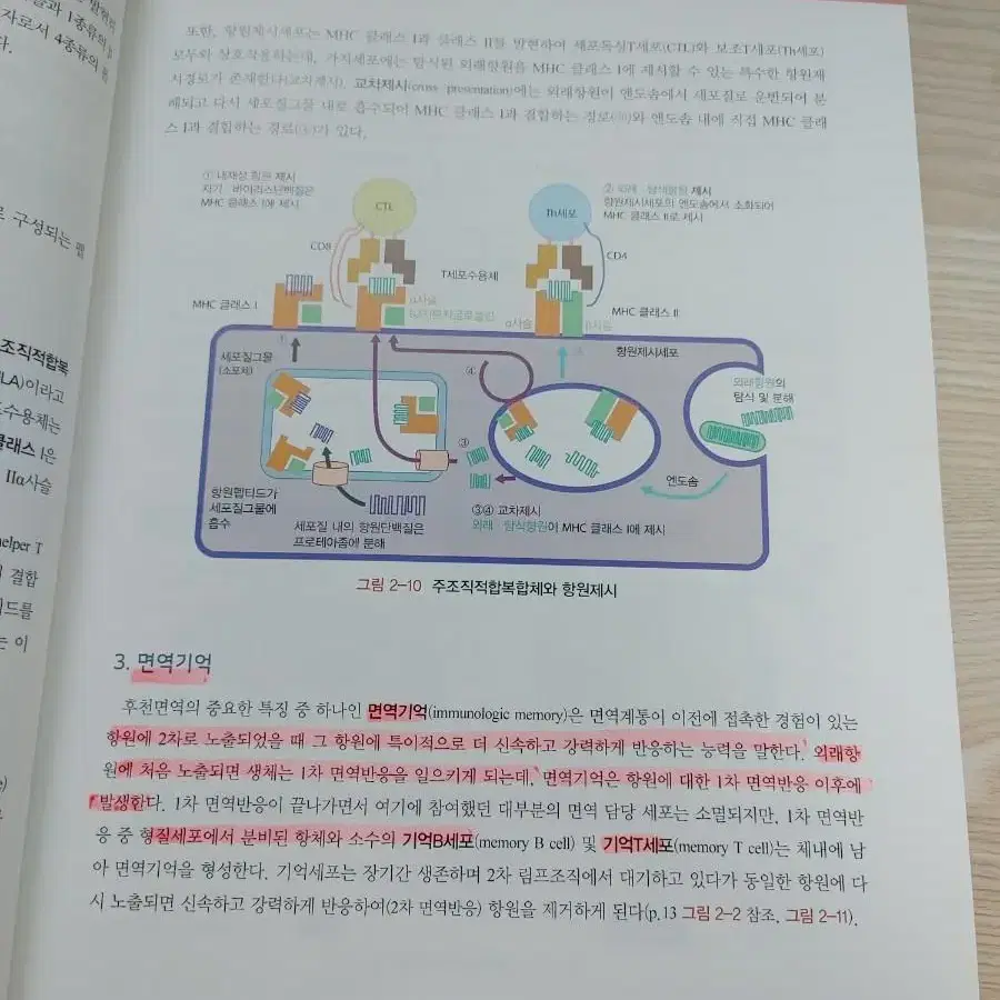 의학교육 핵심 미생물학 전공서 판매