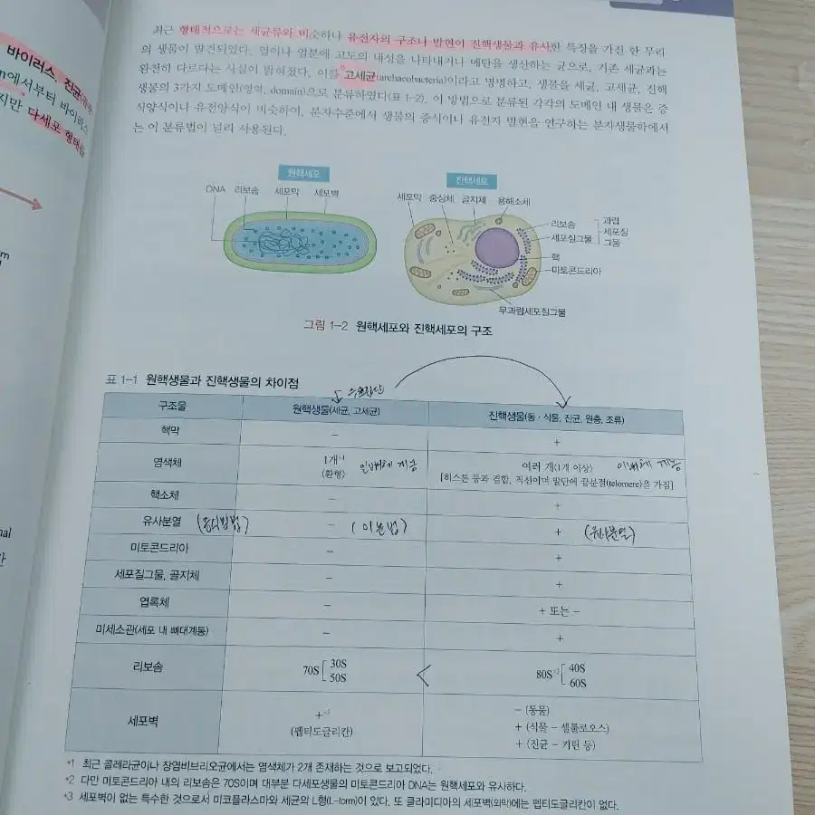 의학교육 핵심 미생물학 전공서 판매