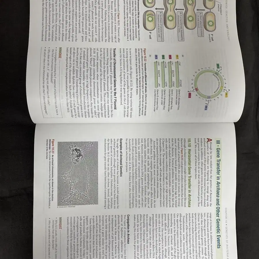 Brock biology of microorganism