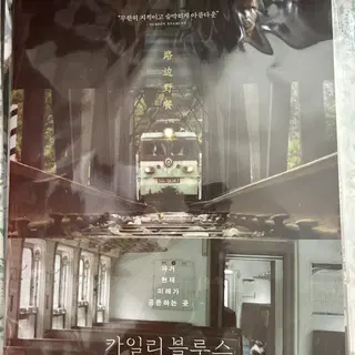 카일리 블루스(路边野餐, Kaili Blues, 2015) 영화 정보, 리뷰ː과거와 현재, 미래가 공존하는 몽환적인 이야기 3