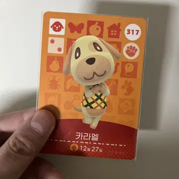 모여봐요 동물의숲 모동숲 카라멜 아미보 닌텐도 스위치 | 브랜드 중고거래 플랫폼, 번개장터 모여봐요 동물의숲 모동숲 카라멜 아미보 닌텐도 스위치 | 브랜드 중고거래 플랫폼, 번개장터