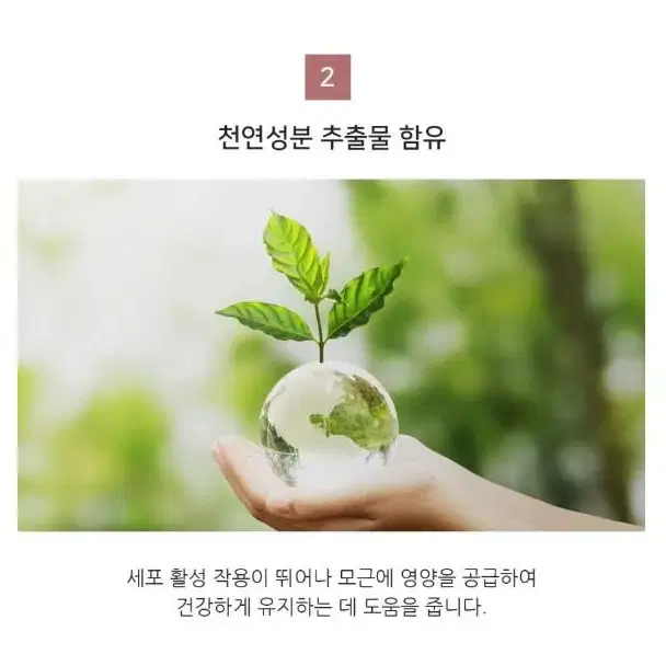 코스 아이래쉬 세럼 투명 10ml 서비스 케이스 브러쉬 5개 COS래쉬