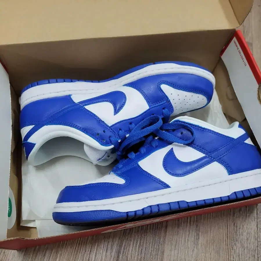 260 나이키 덩크 로우 켄터키 Nike Dunk Kentucky