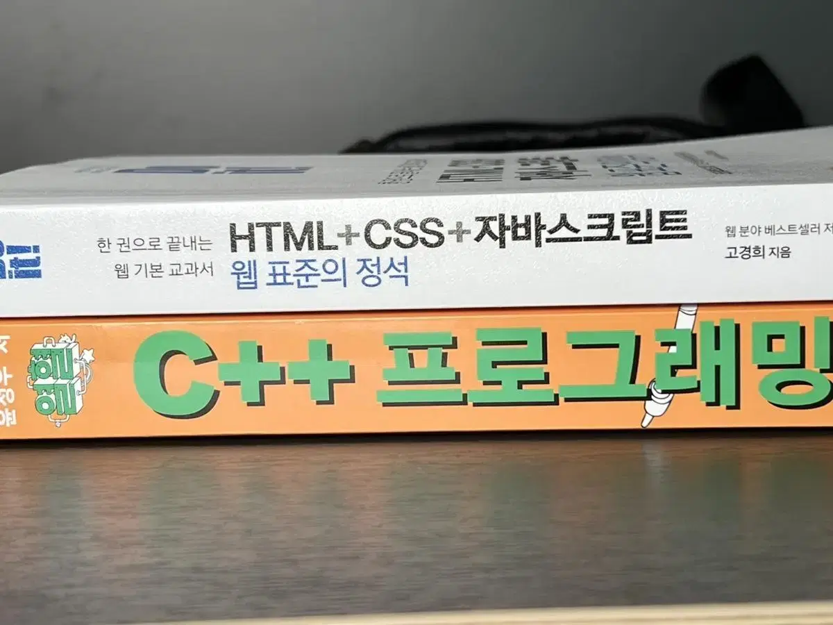 C++ 프로그래밍 / html css 자바스크립트