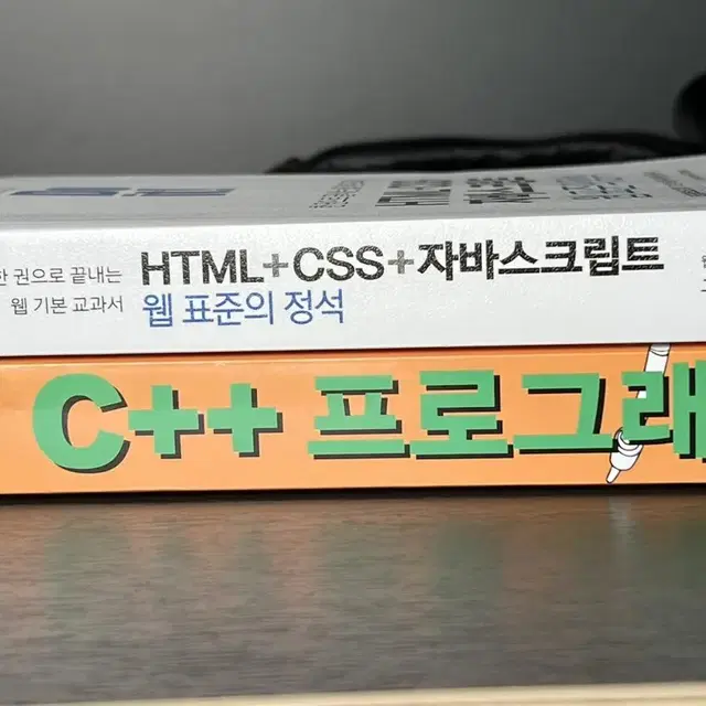 C++ 프로그래밍 / html css 자바스크립트