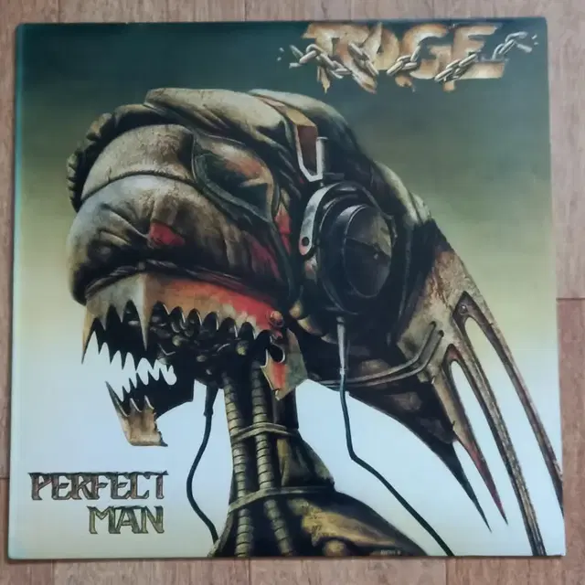 rage lp 수입 엘피