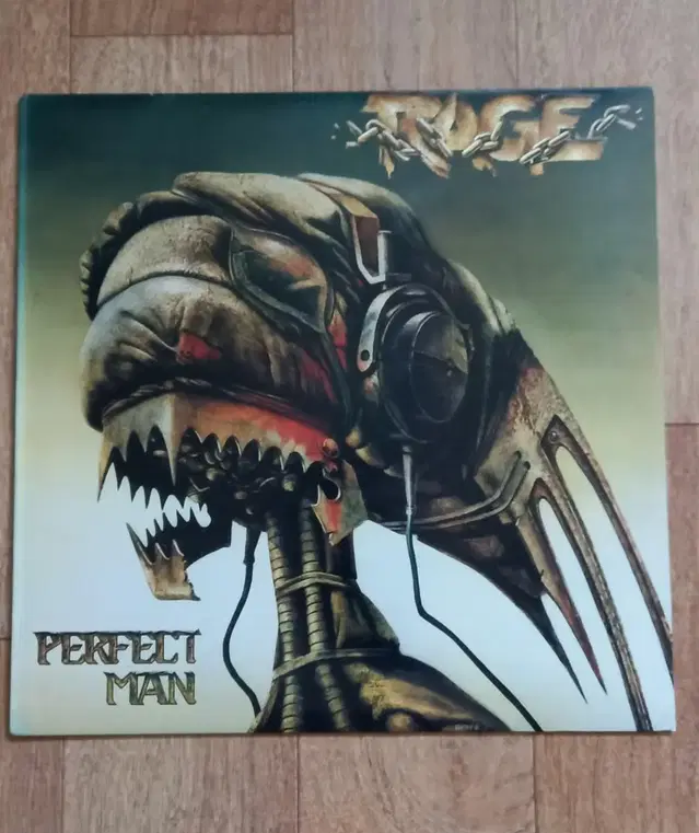 rage lp 수입 엘피