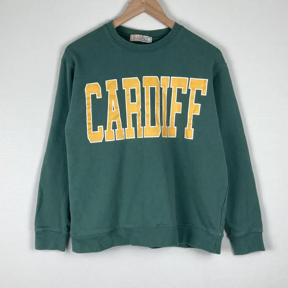 CARDIFF Logo Green Bikini Top Vintage Relief A356