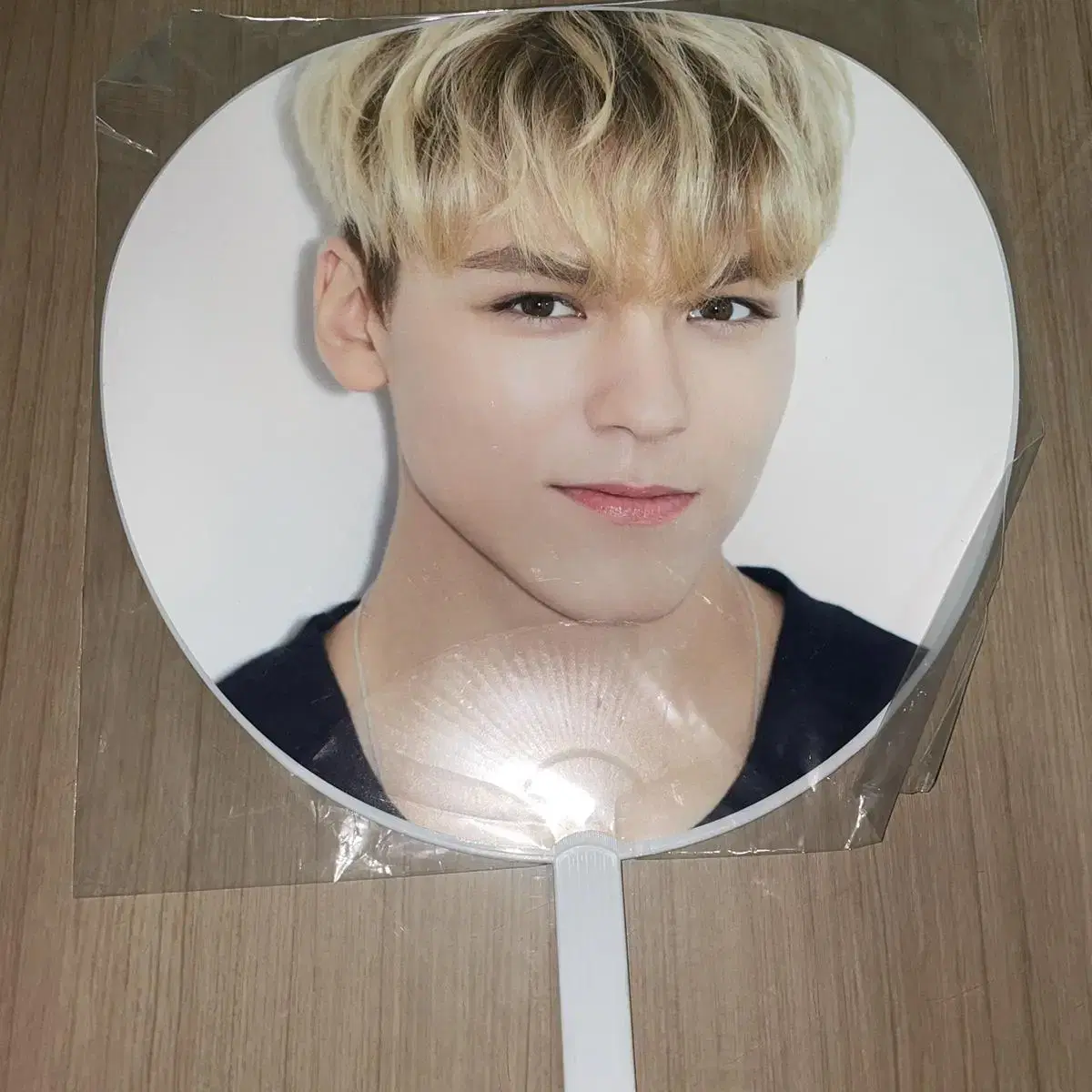 Seventeen vernon choi hansol wuchiwa Fan Japan Tour