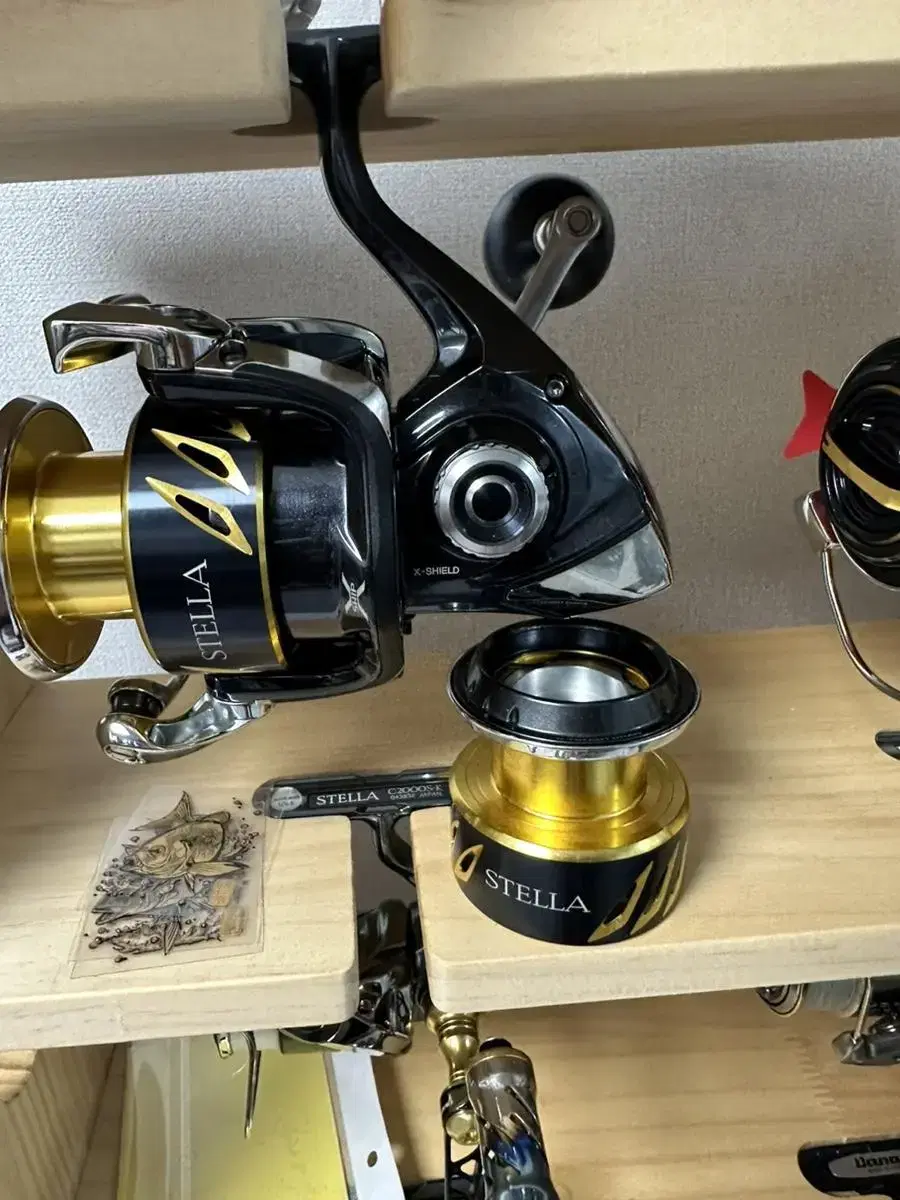 SHIMANO STELLA SW6000