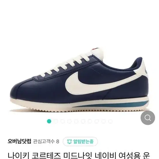 나이키 코르테즈