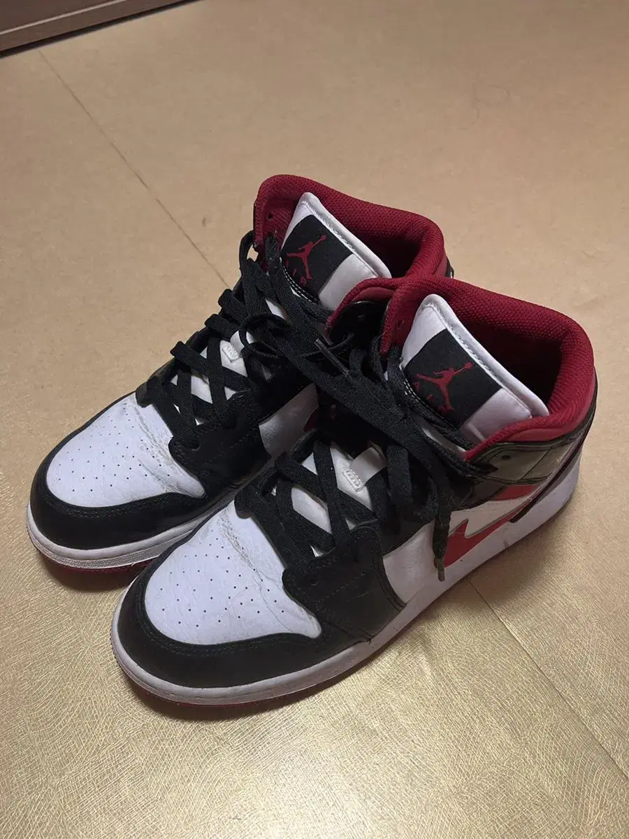 Nike Jordan 1 GS 245