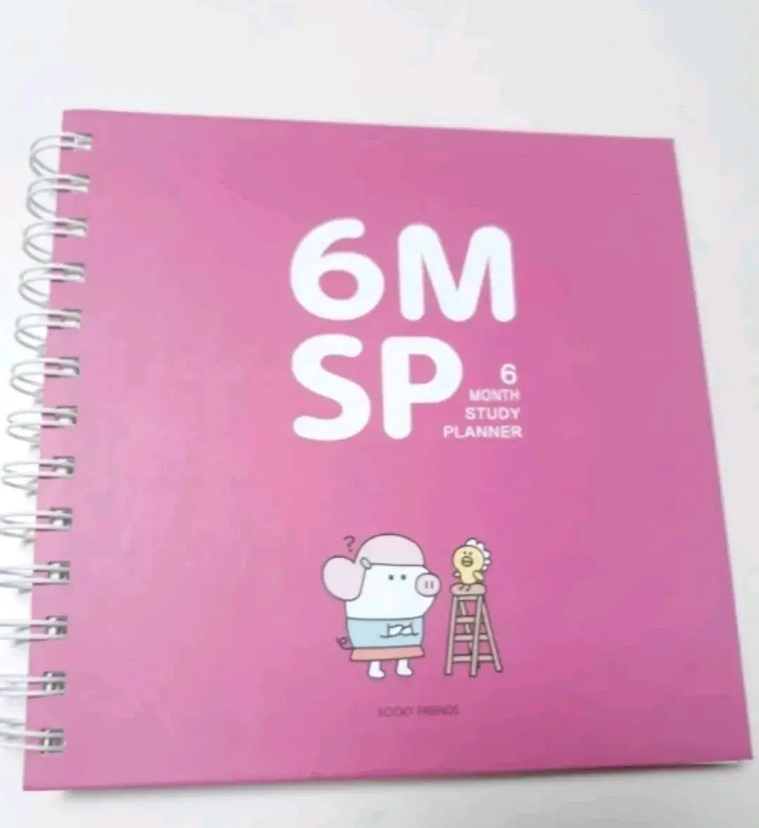 6-Month Study Planner (New Product)