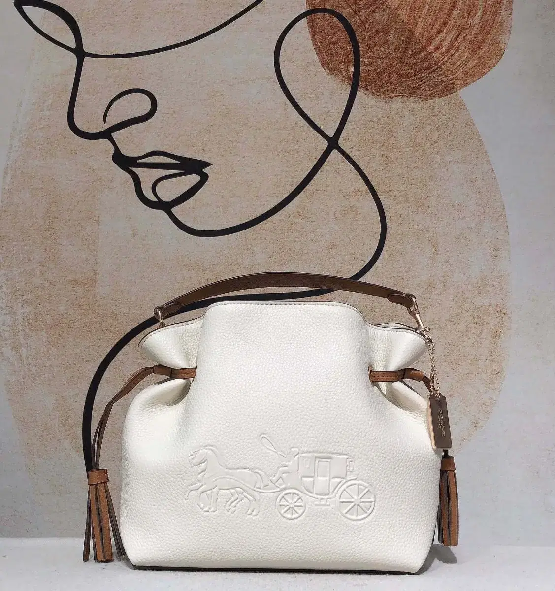 Coach. Andy. Halls. AnCarriage Crossbody Bag CA164,CA213