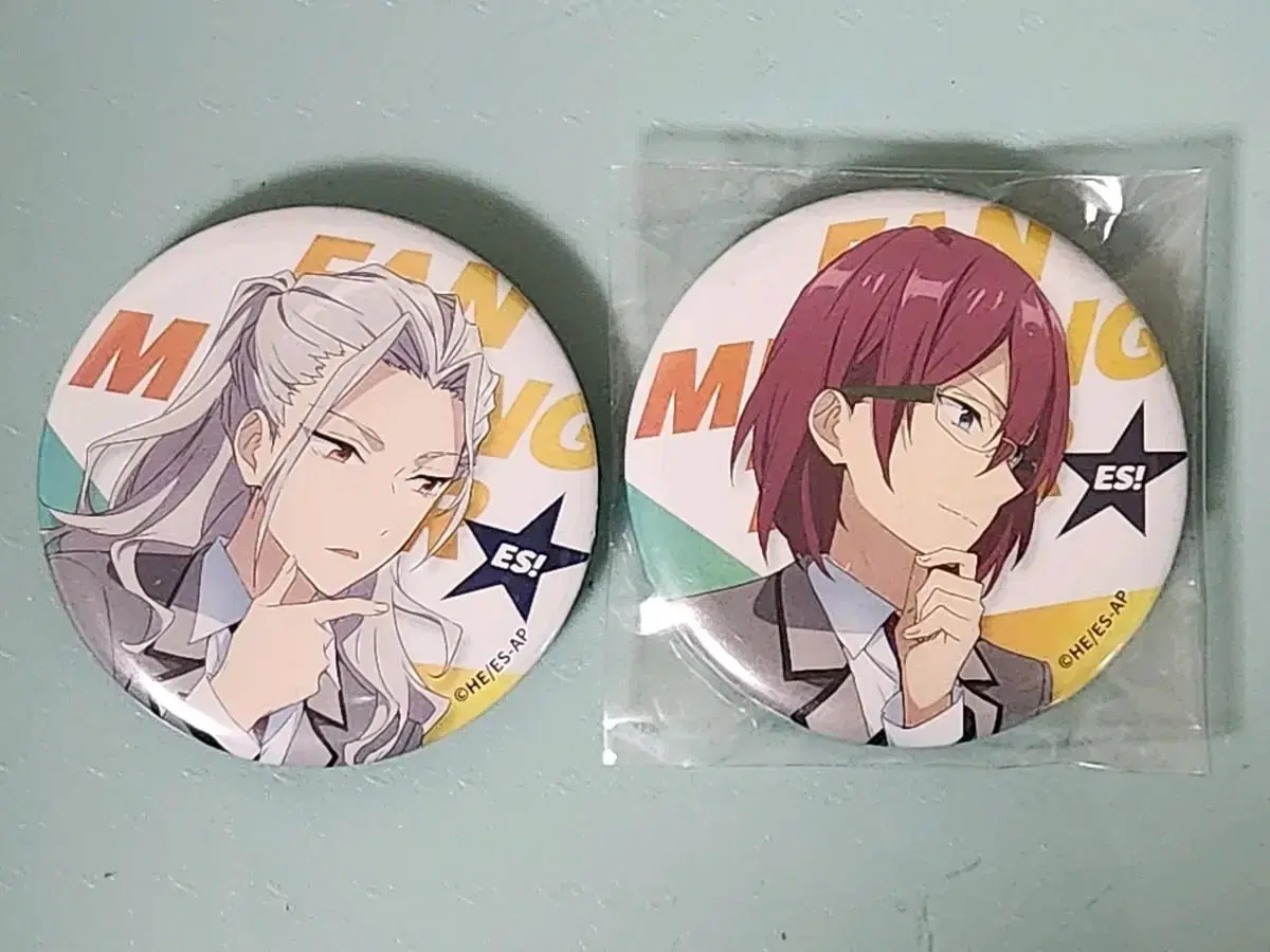 Nagisa Ibara ES Can Badge WTS