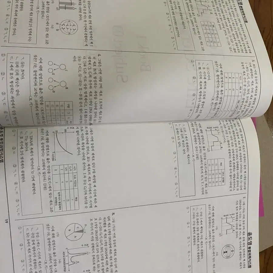 윤도영 얼텍