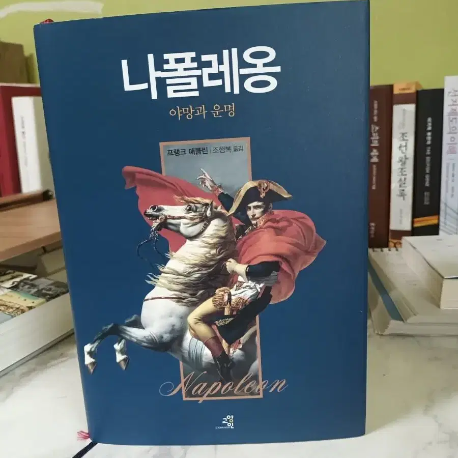 나폴레옹 야망과 운명 초특가 A급