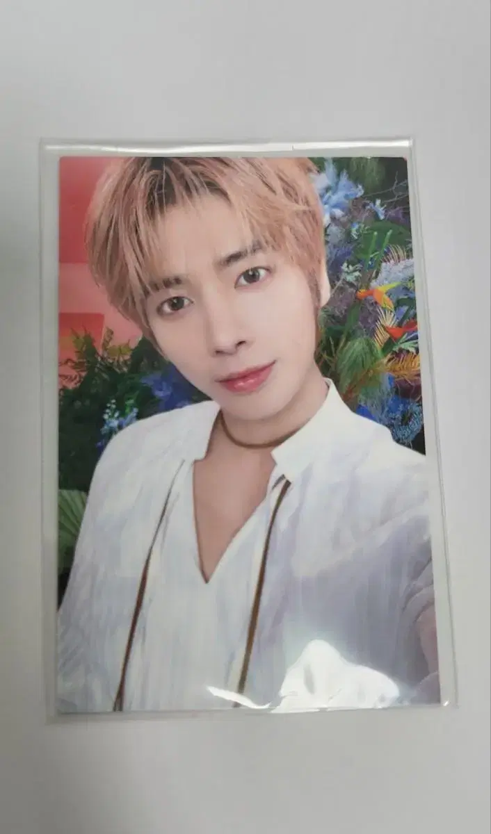 TXT Sweet Corn Moa Zone kang taehyun photocard WTS