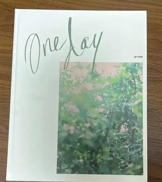 Oneday 아이즈원