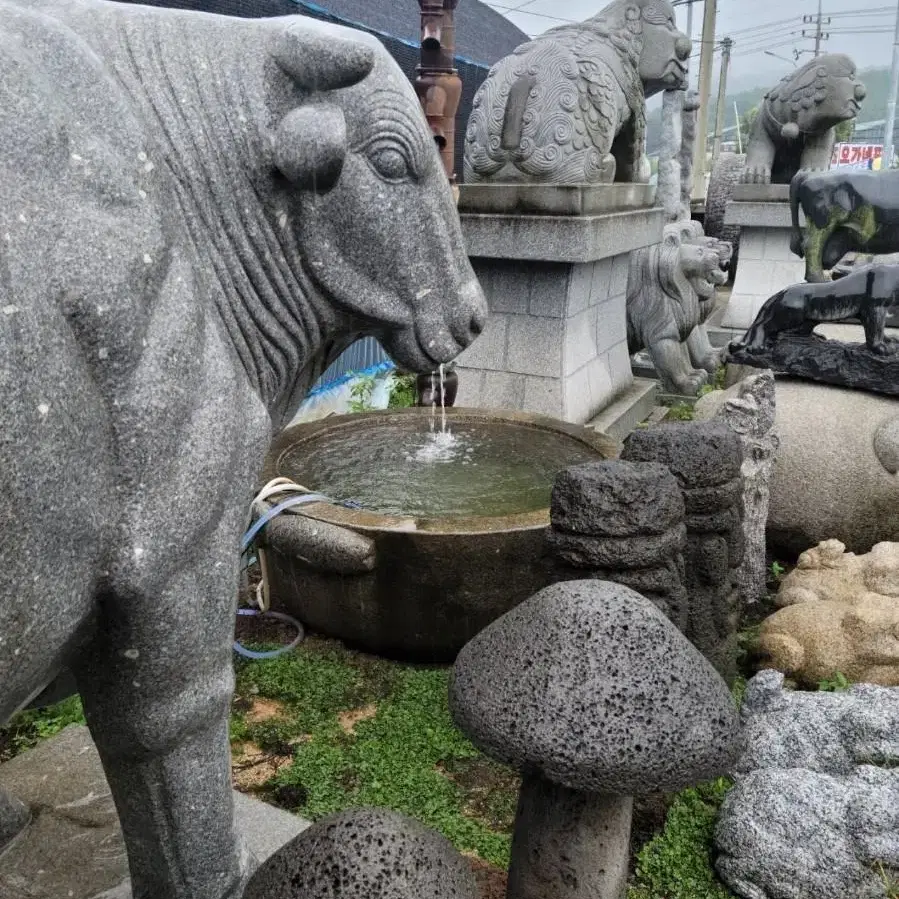 청석 잉어물확 4개