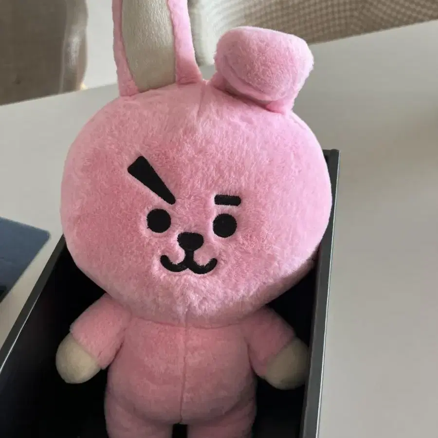 Bt21 인형 cooky