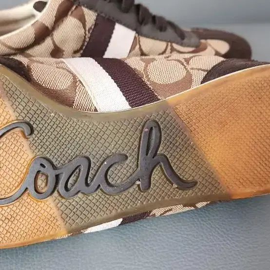 coach