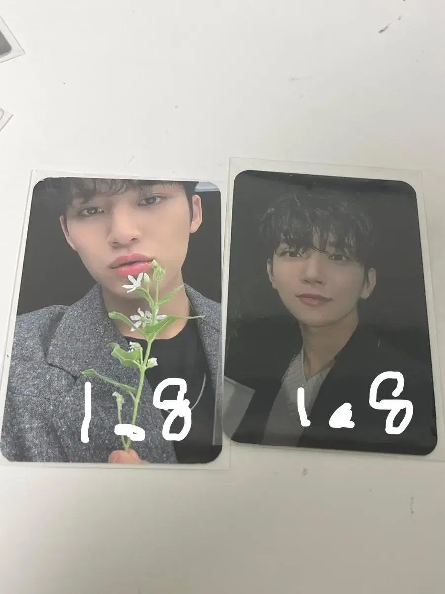 Seventeen Ataka m2u weverse interpark pre-order benefit ld photocard Sell photocards