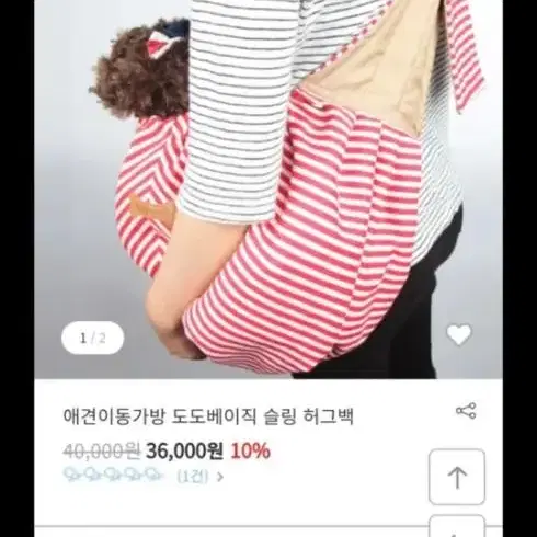 애완동물 이동가방