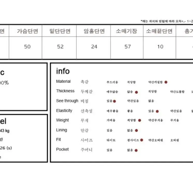 플리츠 시스루 셔츠 블라우스