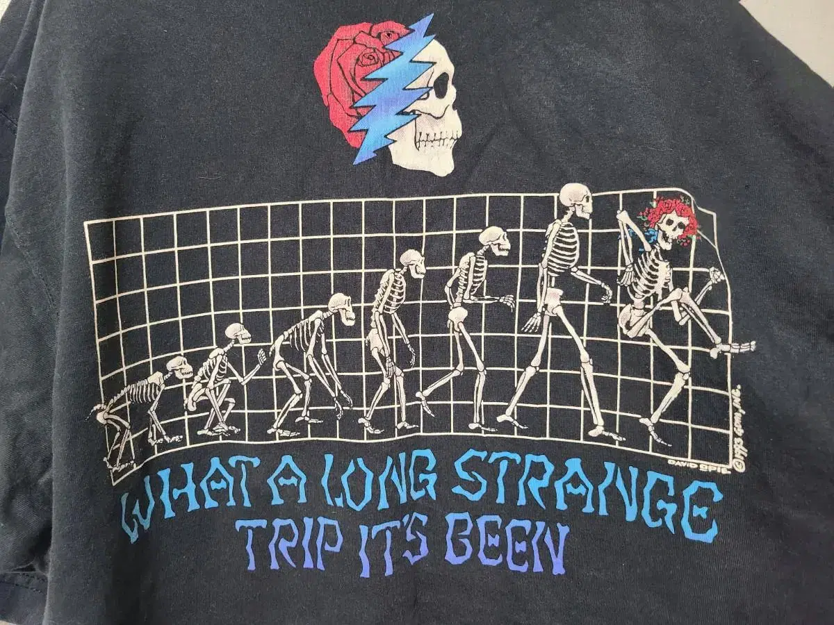 Liquid Bloo 1993 Grateful Dead Vintage T-Shirt