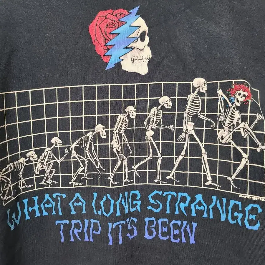 리퀴드블루 1993 그레이트풀데드 Grateful dead 빈티지티셔츠