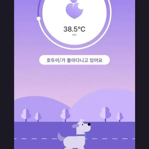 피치 바잇워치