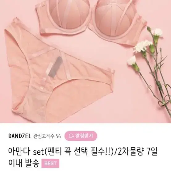 덴젤 아만다 브라팬티세트 32C (70C 75A 75B호환)