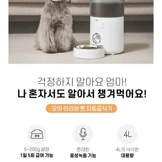 오아 강아지 고양이 자동급식기 음성녹음됨