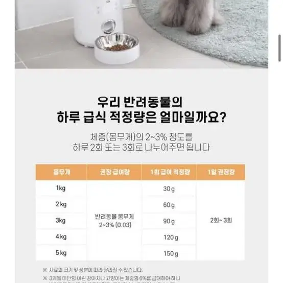 오아 강아지 고양이 자동급식기 음성녹음됨