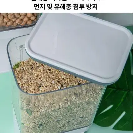 [1+1 무료배송] 원터치 쌀통 다용도 잡곡통 1000ml x 2개