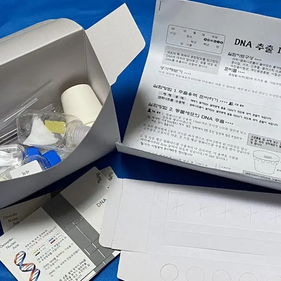 DNA 추출 실험 키트 과학 생명과학 수행평가 방학 숙제 생기부 보고서