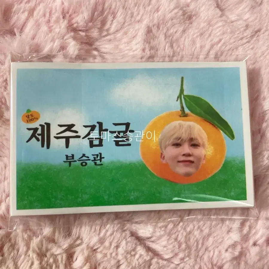 세븐틴 승관 도무송 찌라시