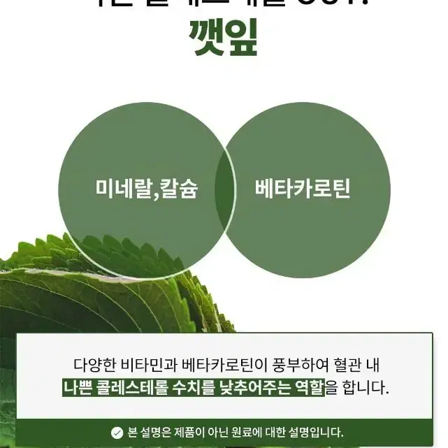 빼빼주스 초코맛재입고 한개가격에 두개드려요 1+1 무료배송