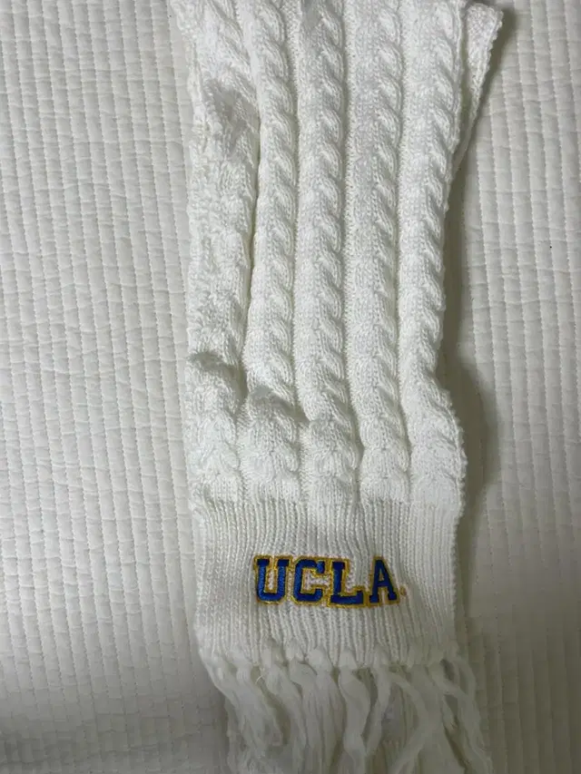 UCLA 목도리