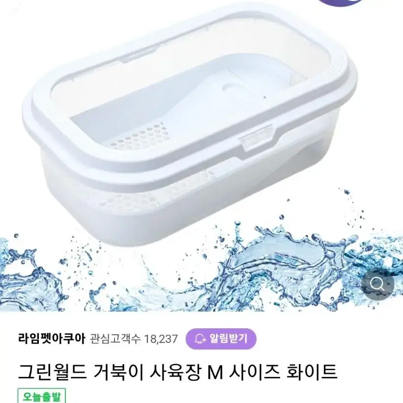 그린월드 거북이 사육장 M 옐로우