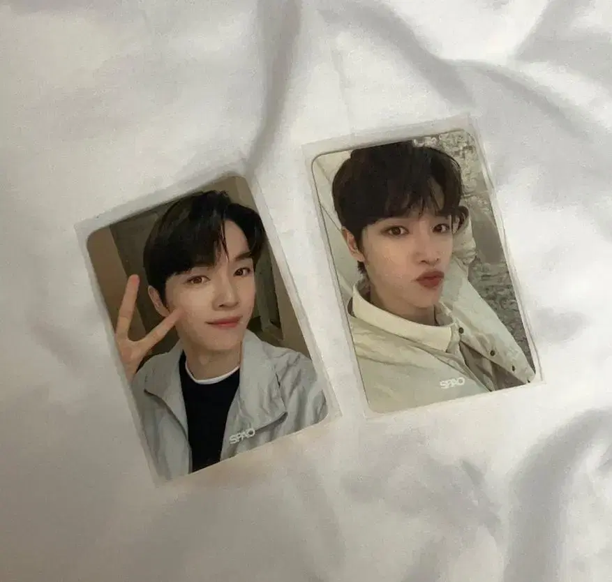 Sungchan spao spao photocard in bulk